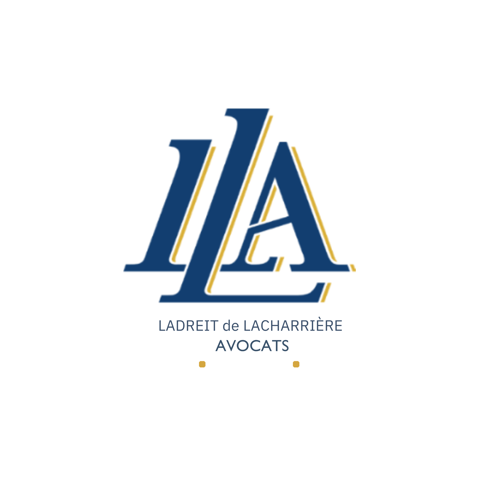 logo partenaire fondation lla