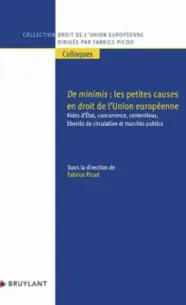 2024-de-minimis-les-petites-causes-en-droit-de-l-union-europeenne.png